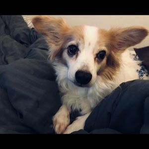 Meet your Posher, Vicki